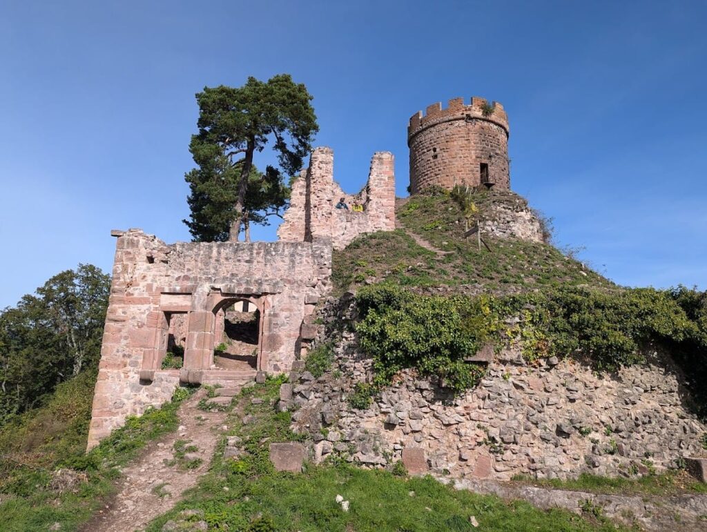 Castle of Haut-Ribeaupierre: A Medieval Hilltop Fortress in France 1 Castle of Haut-Ribeaupierre