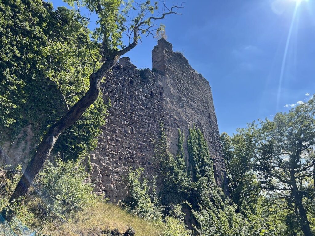 Castle of Haut-Ribeaupierre: A Medieval Hilltop Fortress in France 4 Castle of Haut-Ribeaupierre