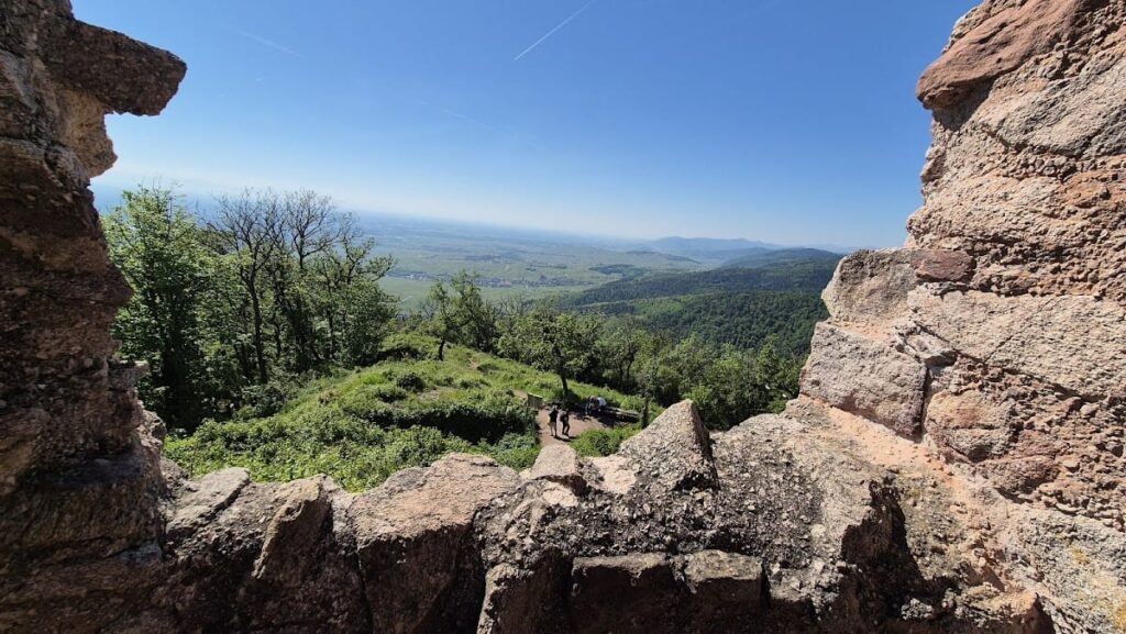 Castle of Haut-Ribeaupierre: A Medieval Hilltop Fortress in France 5 Castle of Haut-Ribeaupierre