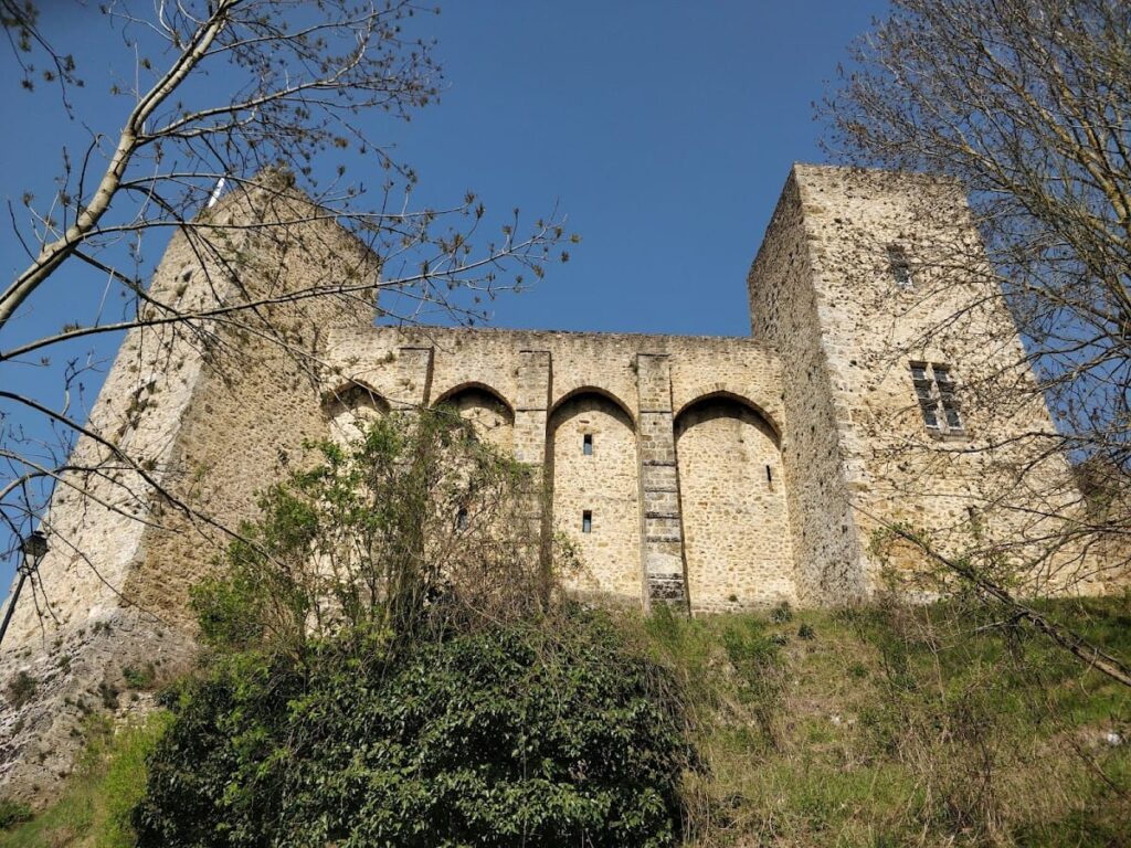 Castle of La Madeleine: A Medieval Fortress in Chevreuse, France 3 Castle of La Madeleine