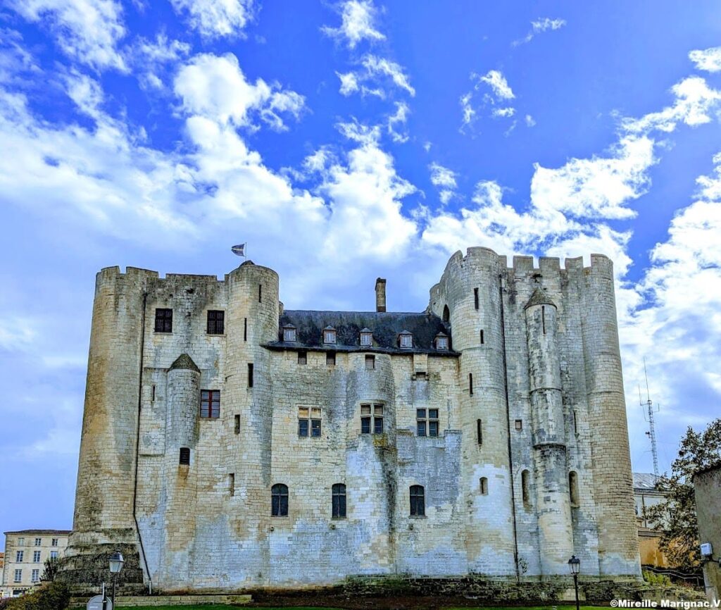 Castle of Niort: A Medieval Fortress in Western France 8 Castle of Niort