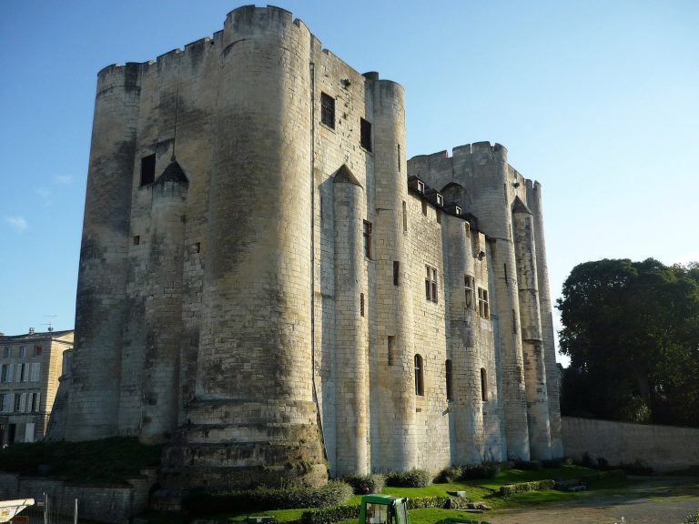 Castle of Niort: Medieval Fortress and Keep in France