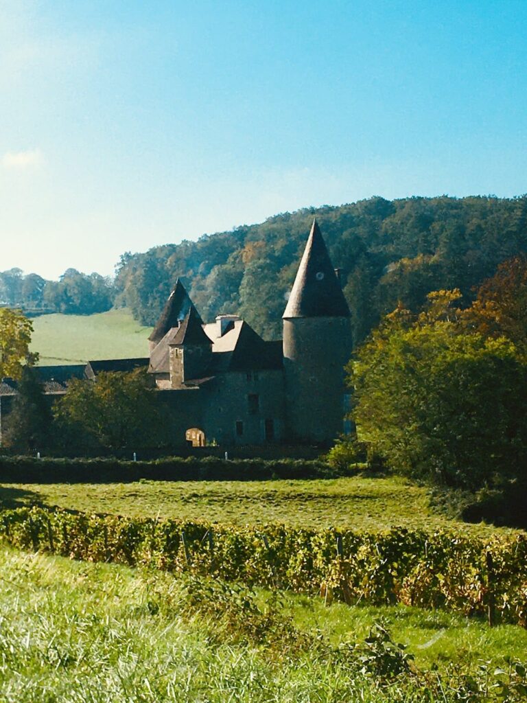 Château de Nobles: A Historic Medieval Castle in La Chapelle-sous-Brancion, France 10 Castle of Nobles