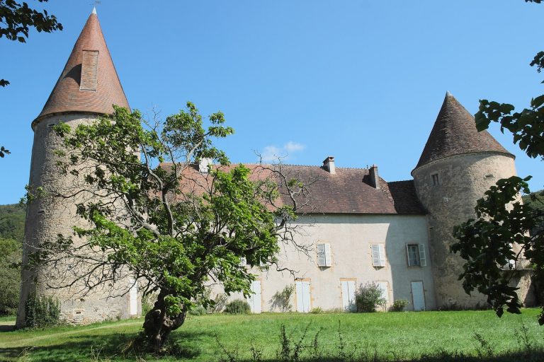 Castle of Nobles: A Historic Seigneurial Residence in France