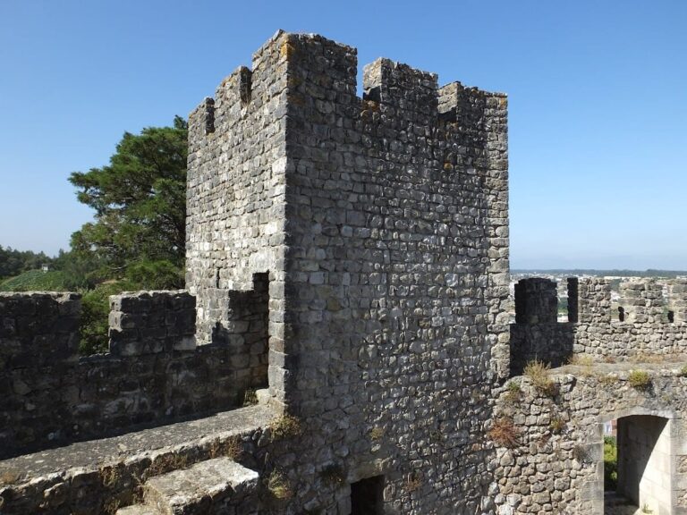 Castle of Pombal: A Historic Fortress in Portugal
