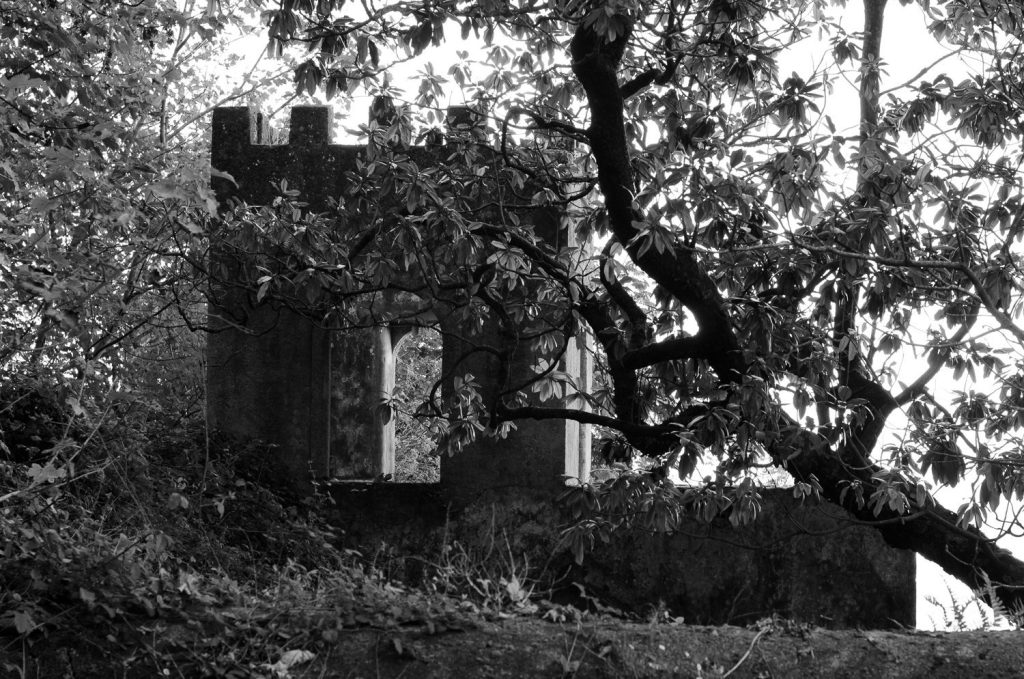 Castle of the Moors: Medieval Fortress of Sintra, Portugal 3 Castle of the Moors