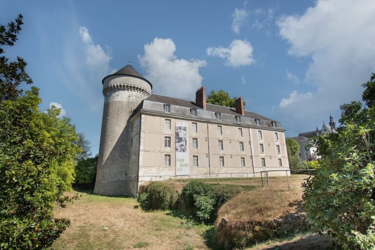 Castle of Tours: A Royal Fortress and Historic Military Site in France
