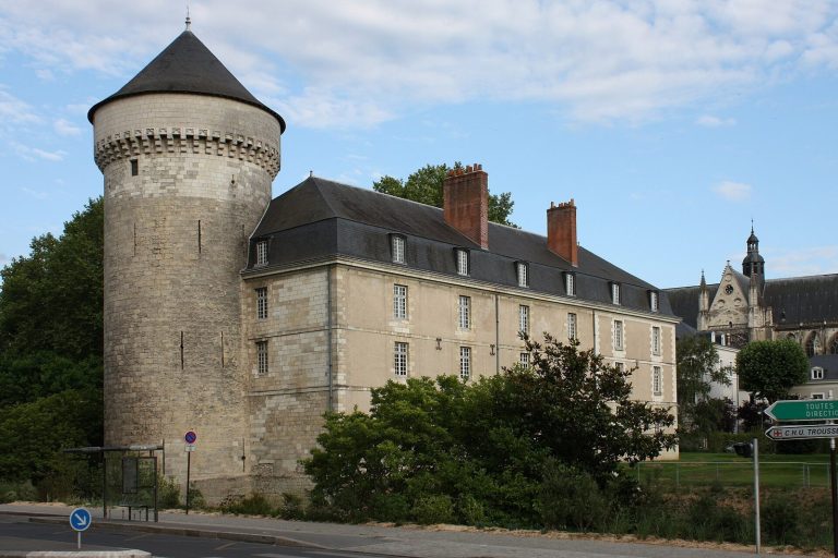 Castle of Tours: A Royal Fortress and Historic Military Site in France