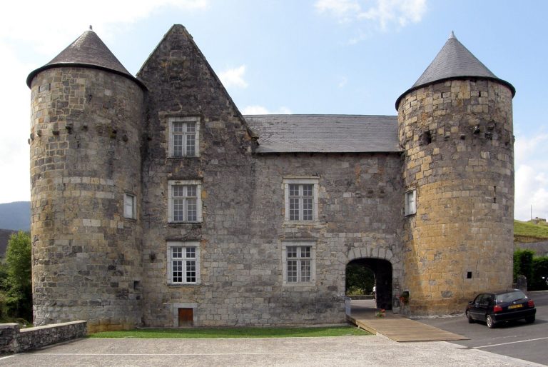 Castle Ruthie: Historic Castle and Town Hall in France