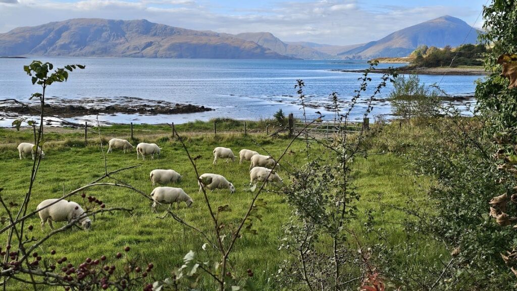 Castle Stalker