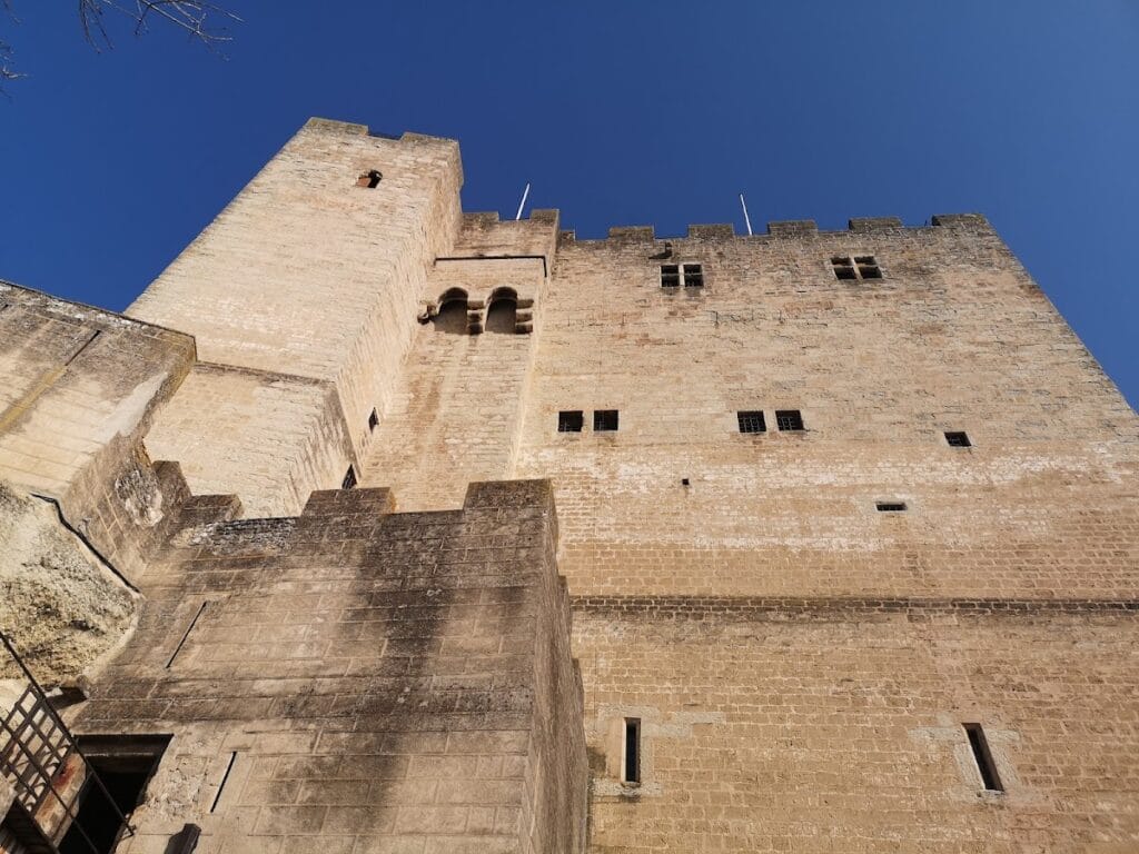 Crest Tower: Medieval Castle Donjon and Prison 4 Crest Tower