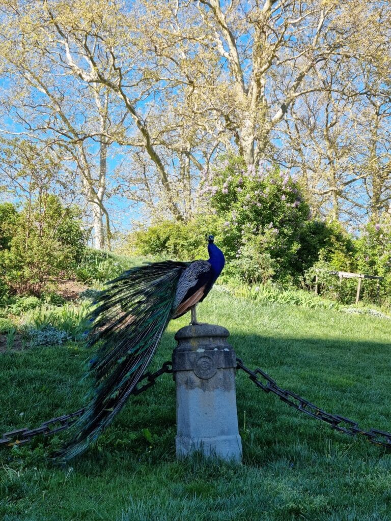 Eggenberg Palace: A Baroque Heritage Site in Graz, Austria 10 Eggenberg Palace