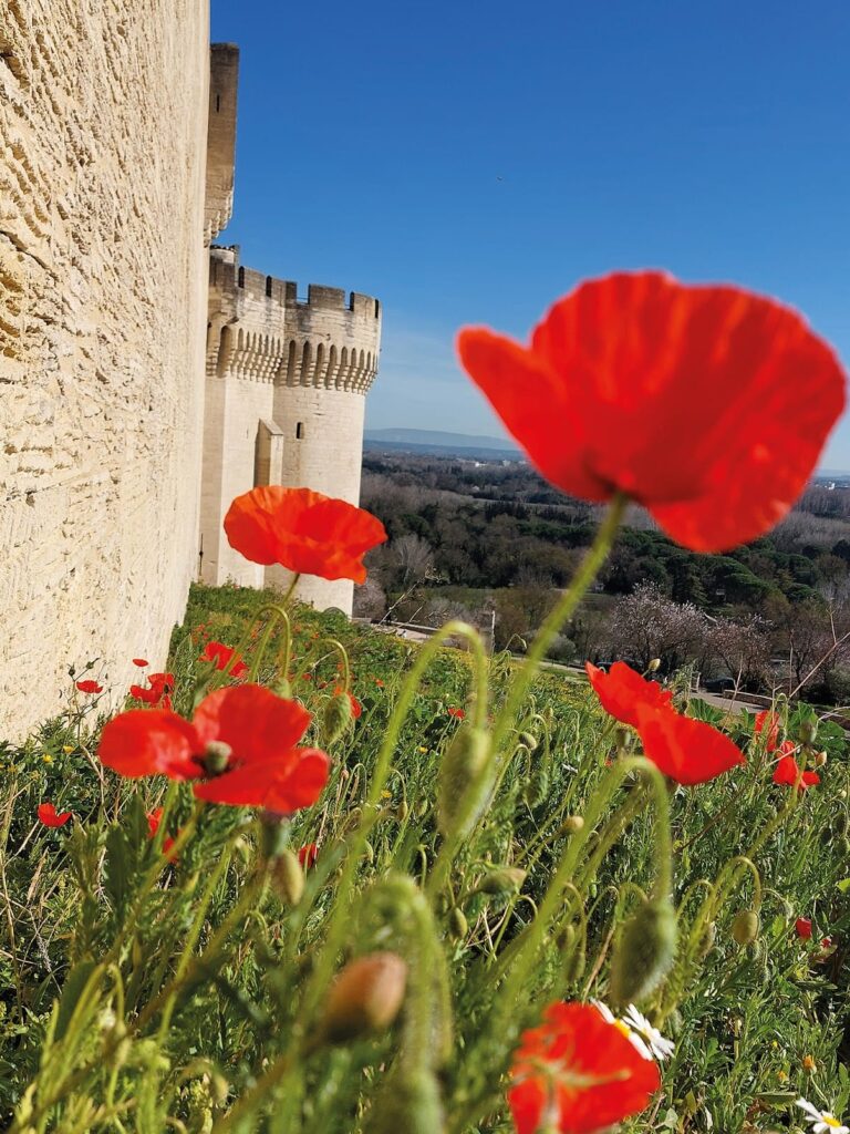 Fort Saint-André: A Historic Military Fortification in Salins-les-Bains