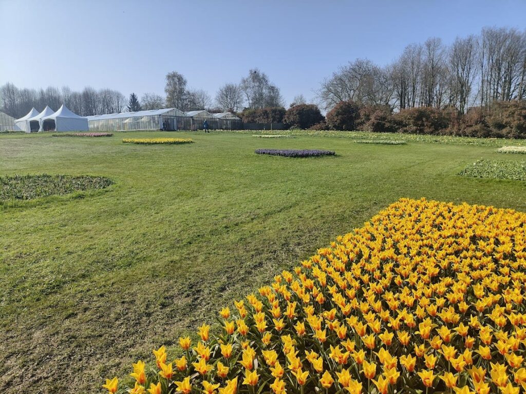 Groot-Bijgaarden Castle