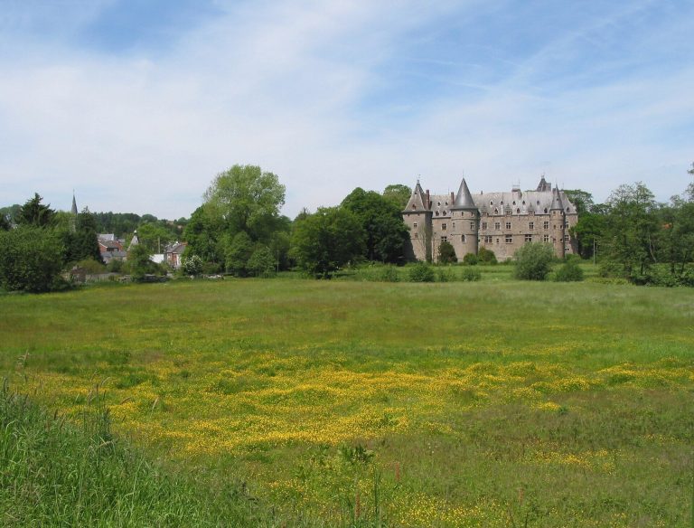 Ham-sur-Heure Castle: A Municipal Seat in Belgium