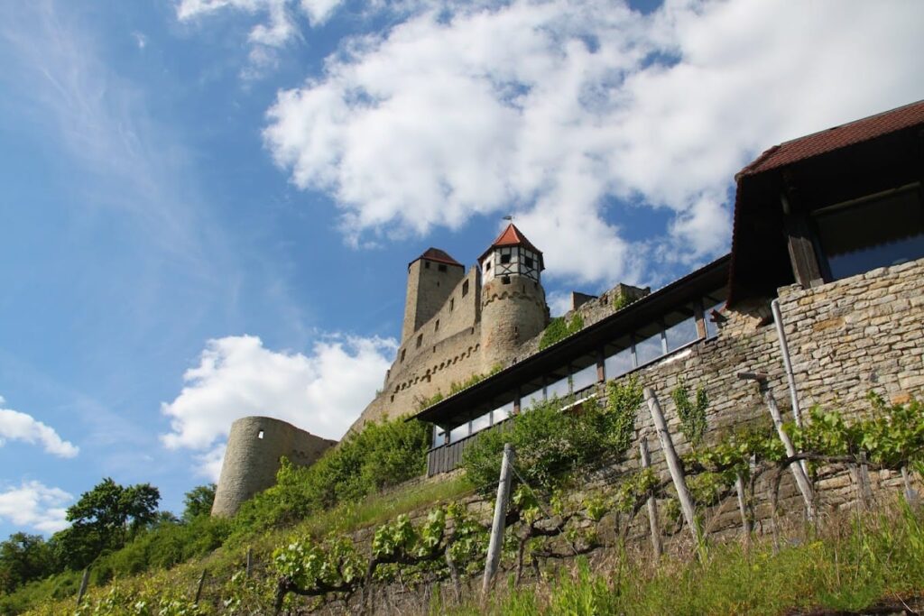 Hornberg Castle: Medieval Fortress and Berlichingen Residence 4 Hornberg Castle