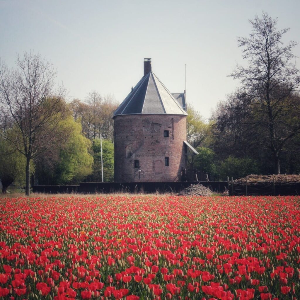 Huys Dever: A Medieval Donjon in the Netherlands 3 Huys Dever