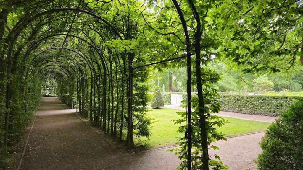 Moyland Castle: A Moated Castle and Museum in Germany 5 Moyland Castle