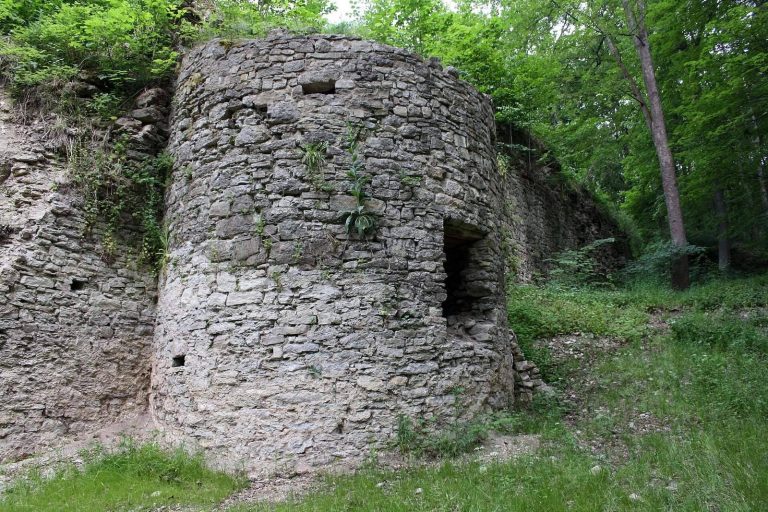 Osterburg Castle Ruins (Henfstädt): A Medieval Henneberg Administrative Castle