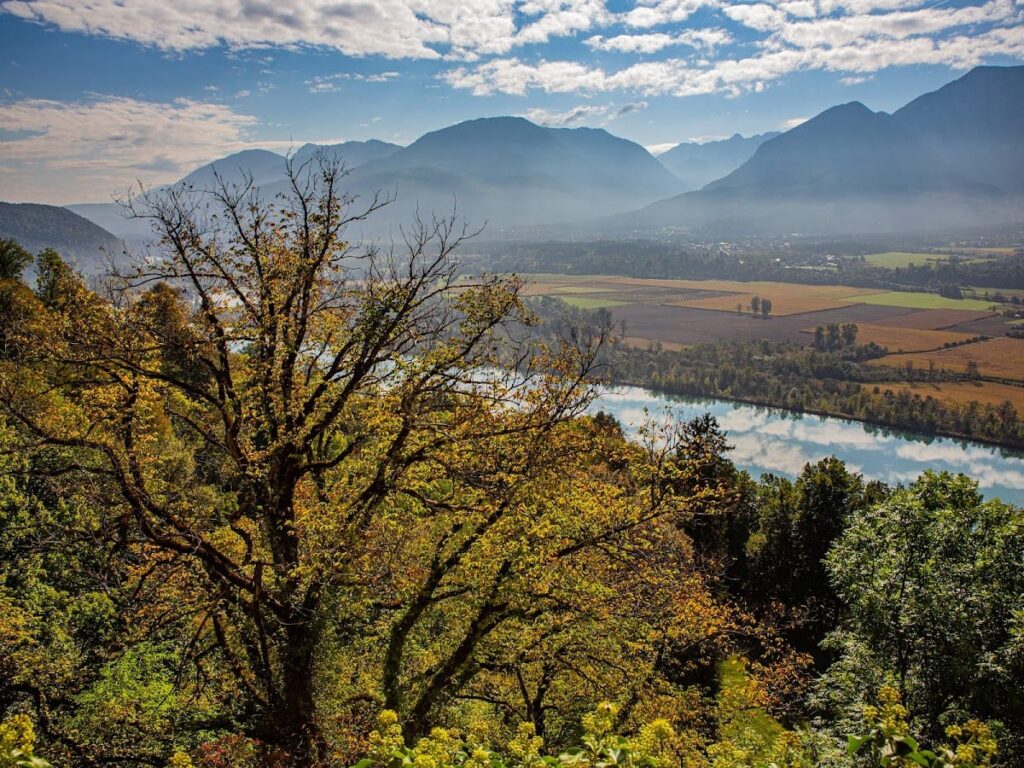 Schloss Hollenburg: A 19th-Century Castle in Krems, Austria 7 Schloss Hollenburg