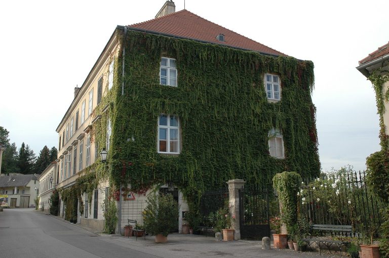 Schloss Hollenburg: A Geymüller Family Palace in Austria
