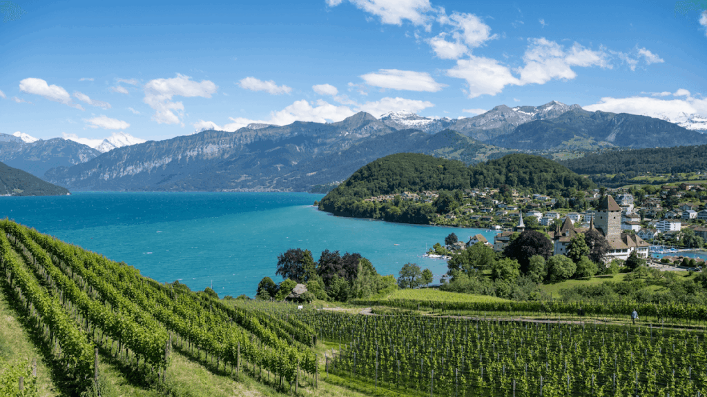 Spiez Castle: A Medieval Lakeside Stronghold in Switzerland 1 Spiez Castle