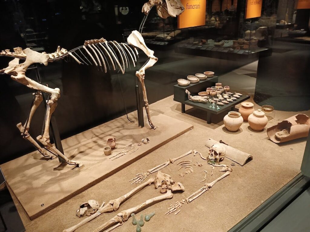 Badalona Museum: Preserving Iberian Funerary Stelae from Baitolo and Baetulo 5 Badalona Museum