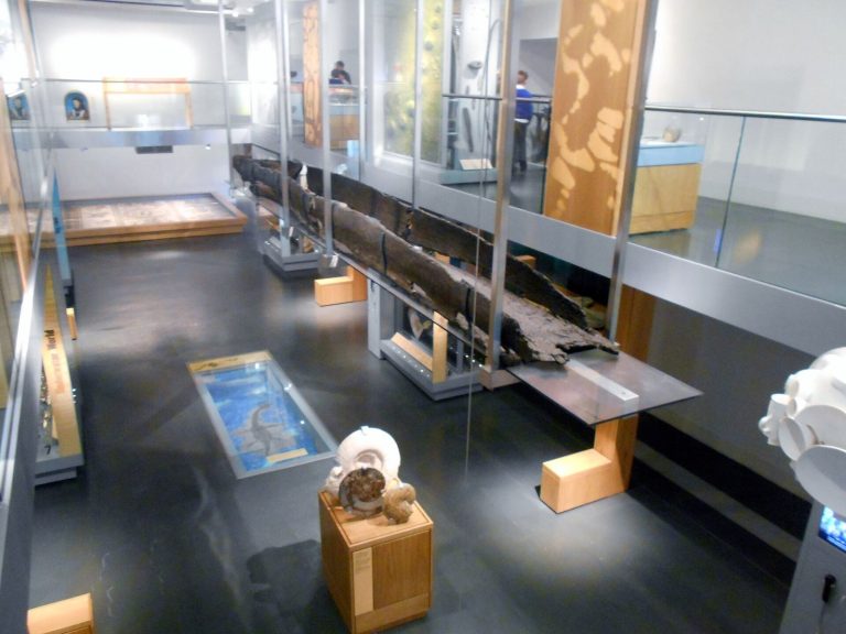 Museum of Somerset: History and Archaeology Museum in Taunton Castle