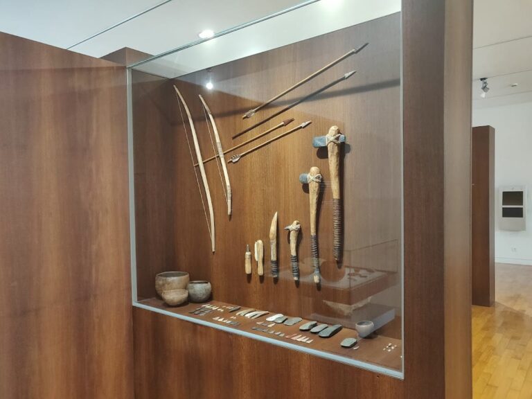 Museum of Archaeology D. Diogo de Sousa