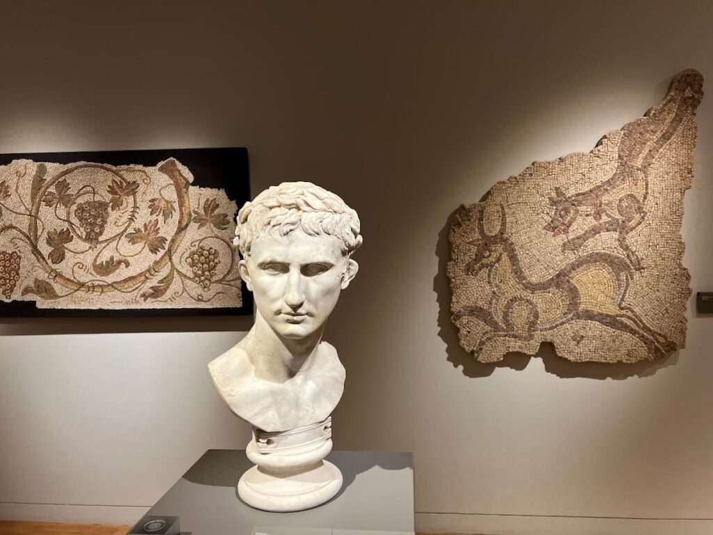 Museum of Archaeology D. Diogo de Sousa 8 Museum of archeology D. Diogo de Sousa