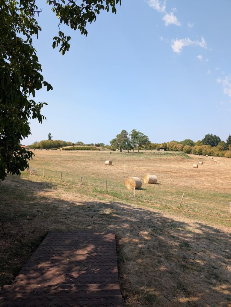 Cassinomagus - Archaeological Park