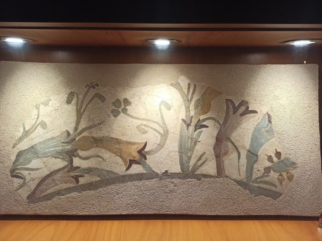 House of Mosaics in Lugo: A Roman Domus Reflecting Urban Life 7 House of mosaics