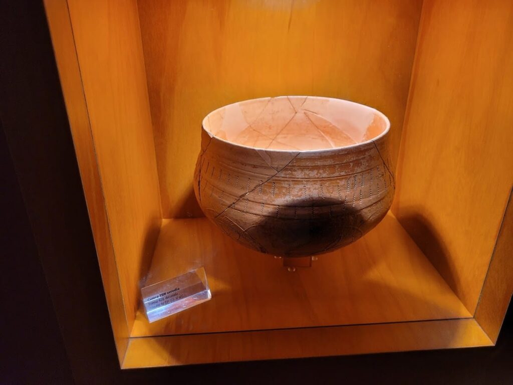 House of Mosaics in Lugo: A Roman Domus Reflecting Urban Life 10 House of mosaics