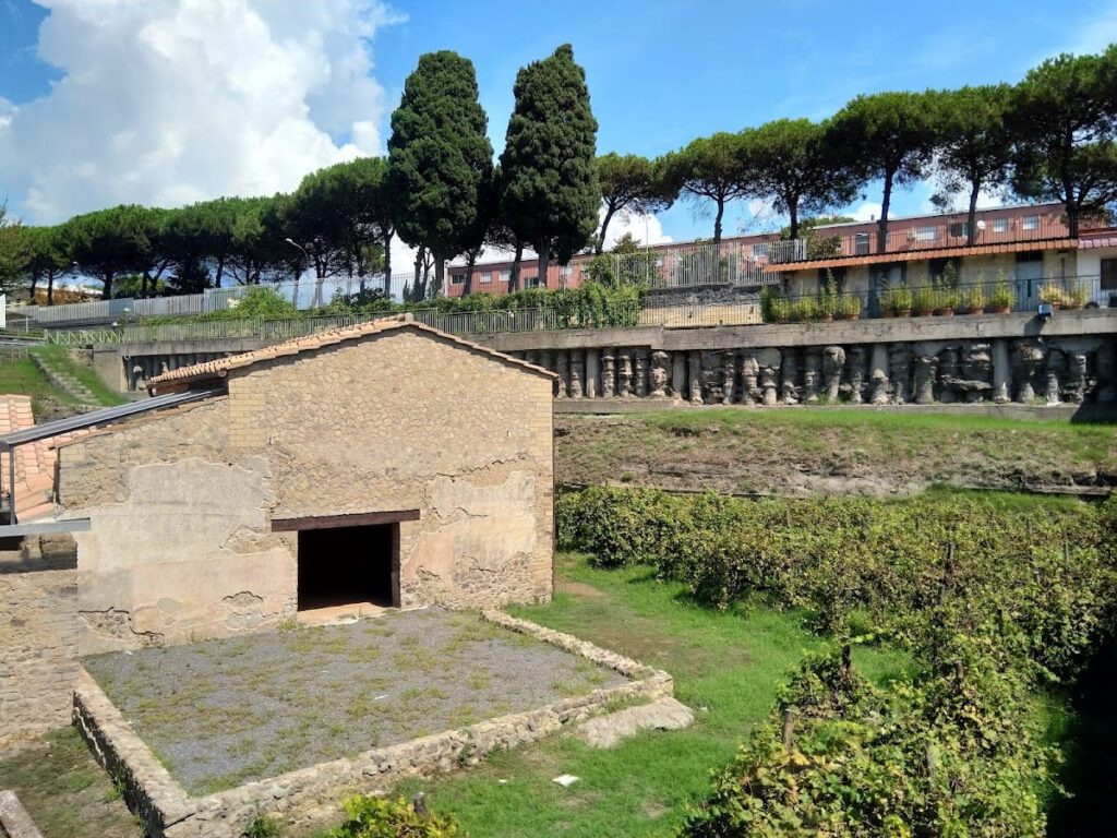 Villa Regina: A Roman Agricultural Estate at Boscoreale 2 Villa Regina