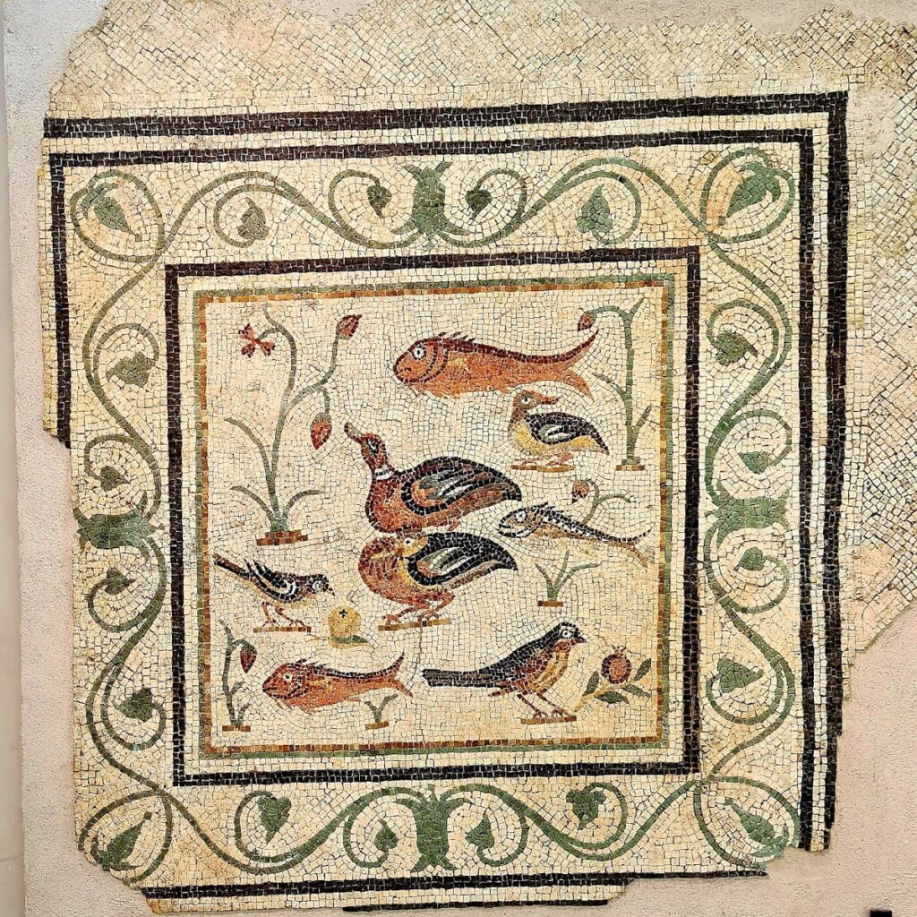 National Archaeological Museum of the Marches: Preserving the Heritage of Central Italy 10 National Archaeological Museum of the Marches