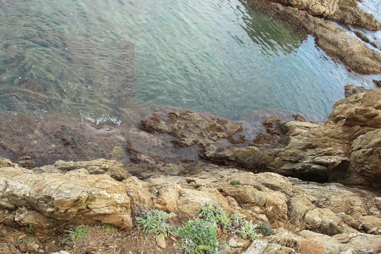 Vivier maritime de la Gaillarde: A Gallo-Roman Fishpond in France