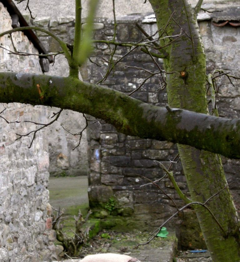 Piercebridge Roman Fort: A Roman Military Crossing on Dere Street
