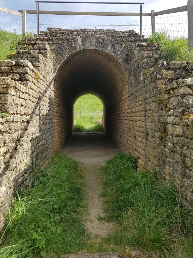Selley Roman Theatre (Aventicum): A Historic Roman Site in Avenches, Switzerland 10 Selley Roman Theatre