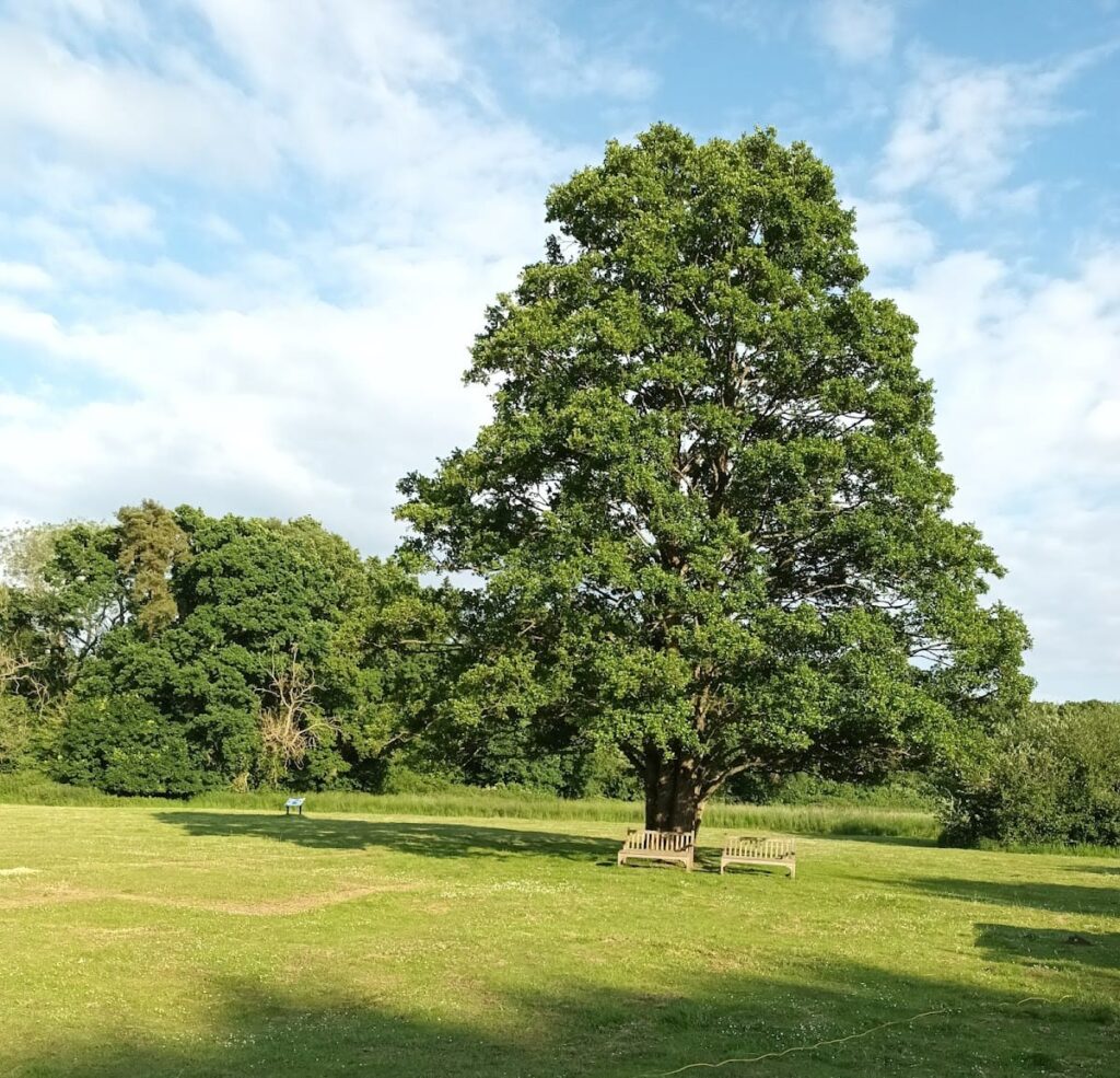 Rockbourne Roman Villa: A Roman Courtyard Estate Centre in Hampshire 5 Rockbourne Roman Villa