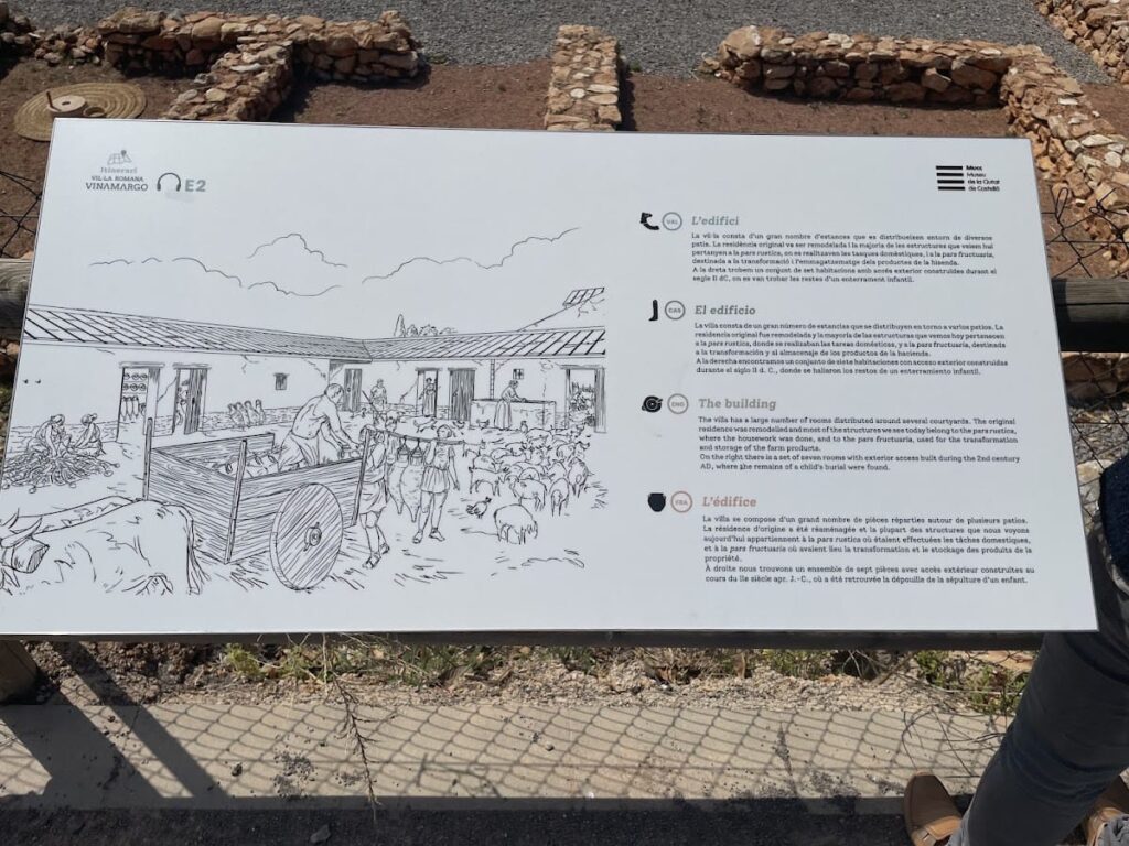Villa Romana de Vinamargo: A Roman Estate near Castellón, Spain 9 Villa Romana Vinamargo