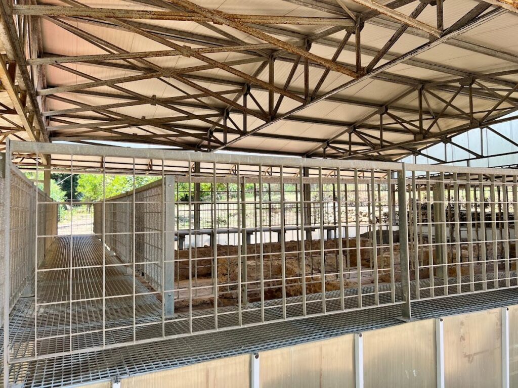 Roman Villa of Skala: A Roman Residential Site in Greece 8 Roman Villa of Skala