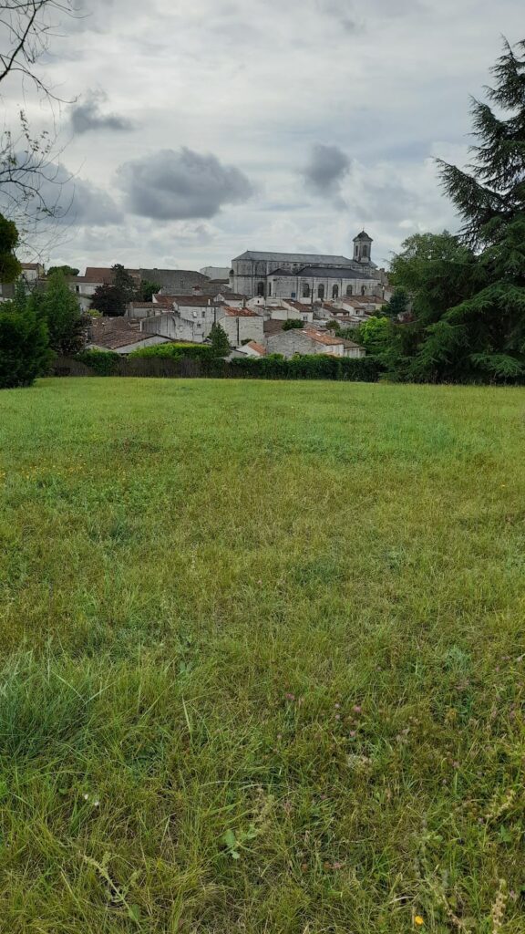 Thermes De Saint Saloine
