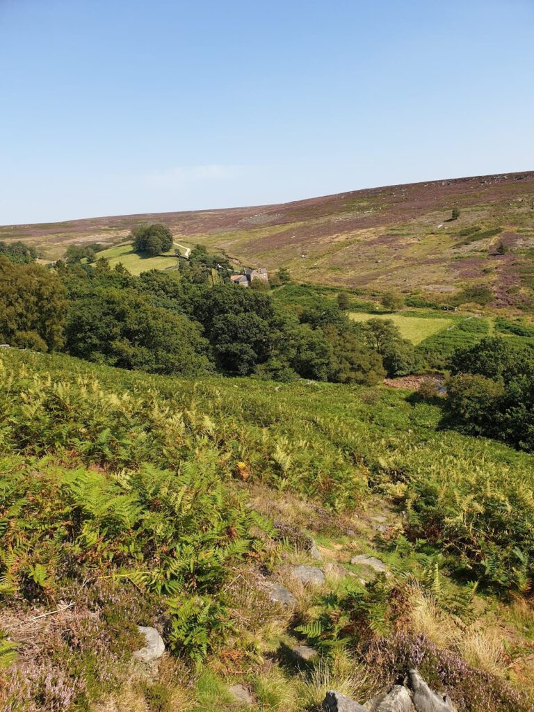 Wheeldale Roman Road: An Ancient Route in North Yorkshire, England