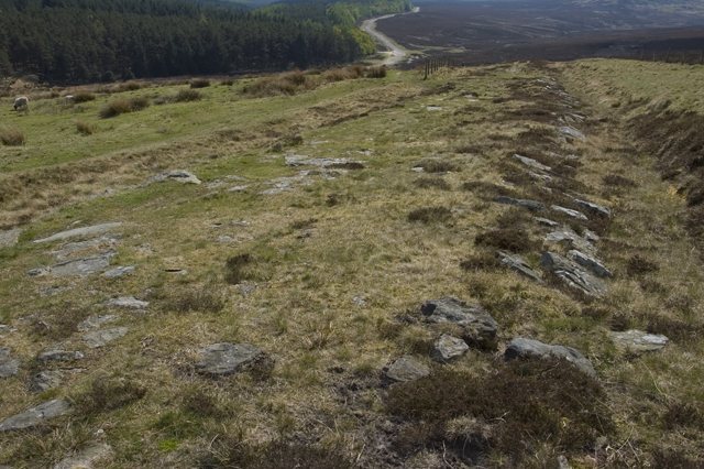 Wheeldale Roman Road: A Contested Linear Monument on Wheeldale Moor