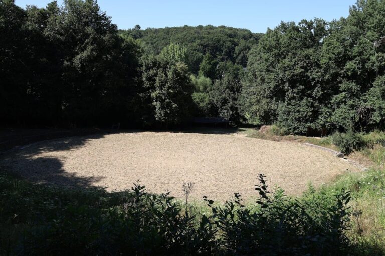 Gennes Amphitheatre: A Gallo-Roman Venue in Western France