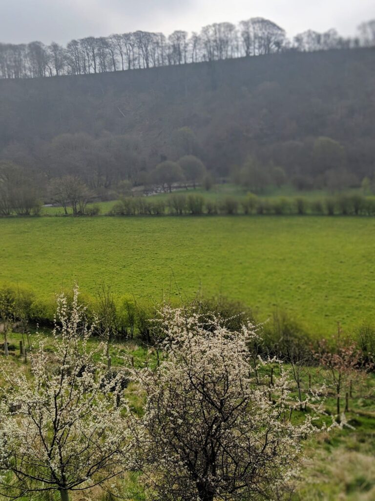 Harrows Scar Milecastle: A Roman Fortification on Hadrian’s Wall 8 Harrows Scar Milecastle and Wall