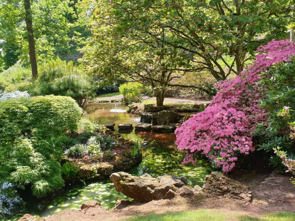 Lydney Park: A Romano-Celtic Temple and Historic Estate in Gloucestershire 10 Lydney Park