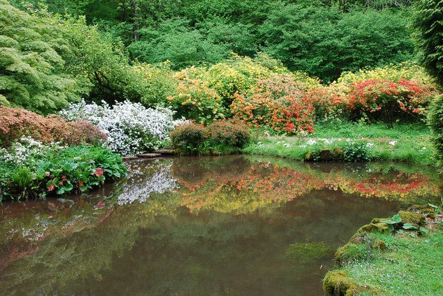 Lydney Park: A Historic Country Estate and Roman Archaeological Complex 2 Lydney Park