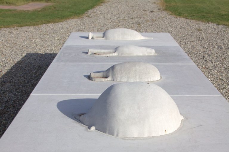Roman Fort Fectio: A Roman Frontier and River Base in the Netherlands