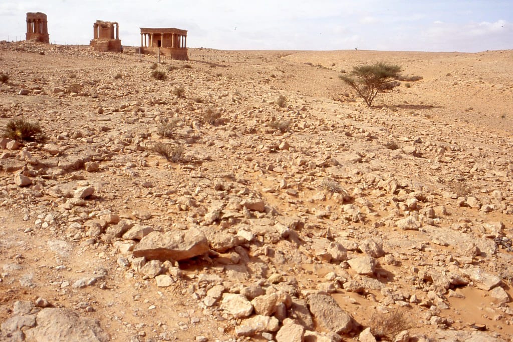 Gerisa (Ghirza): A Roman and Byzantine Frontier Settlement in Libya 6 Ghirza